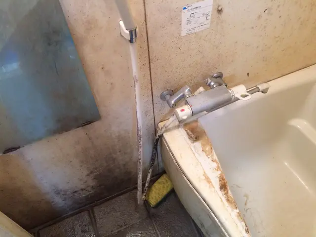 『お風呂洗浄』プロの技術×適洗剤適所×素材保全vs汚れ→清潔で健全な入浴環境♪♪サービスの画像