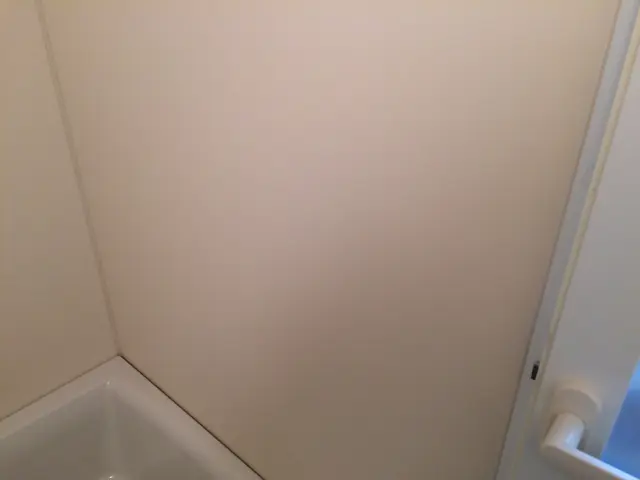 『お風呂洗浄』プロの技術×適洗剤適所×素材保全vs汚れ→清潔で健全な入浴環境♪♪サービスの画像