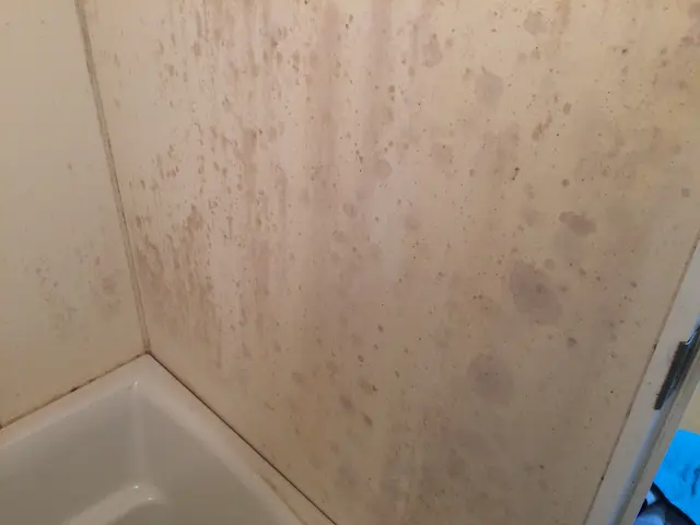 『お風呂洗浄』プロの技術×適洗剤適所×素材保全vs汚れ→清潔で健全な入浴環境♪♪サービスの画像