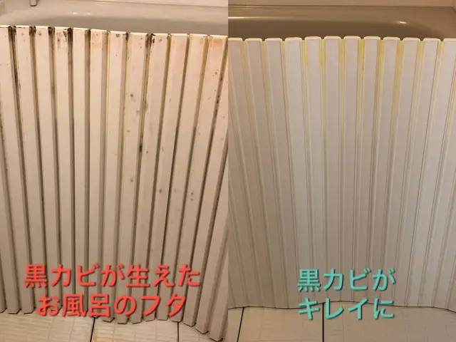 『お風呂洗浄』プロの技術×適洗剤適所×素材保全vs汚れ→清潔で健全な入浴環境♪♪サービスの画像