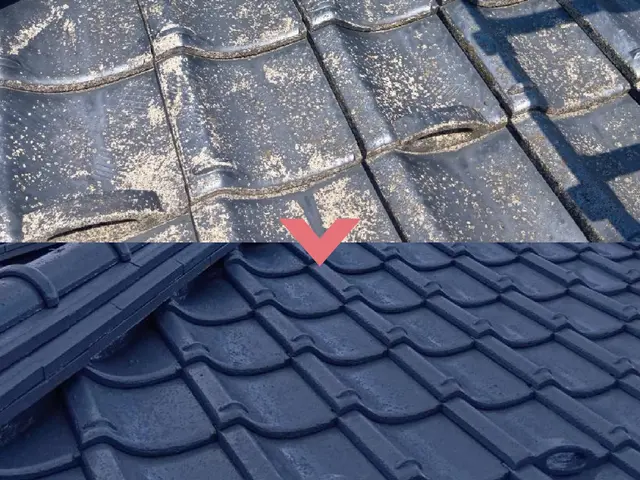 屋根塗装やります！サービスの画像