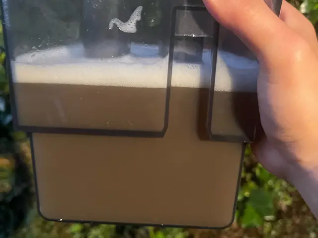 車内クリーニング　シートクリーニングサービスの画像