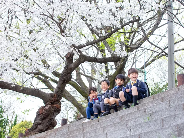 入学フォト、桜フォト、成人式前撮り受付中！写真約100枚以上保証！複数人大歓迎！