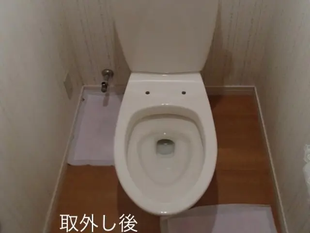 【業歴20年以上の実績！】ウォシュレット取り外しサービスの画像