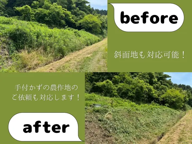 【丸投げOK】顧客満足度重視！草刈り・雑草処分込みでスッキリ解決プランサービスの画像
