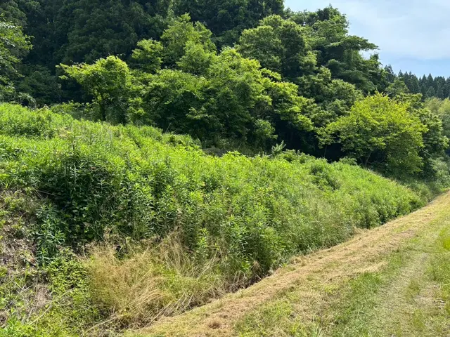 お客様満足度重視！営業時間外・対応地域外も相談可能で安心の追加対応保証付きサービスの画像