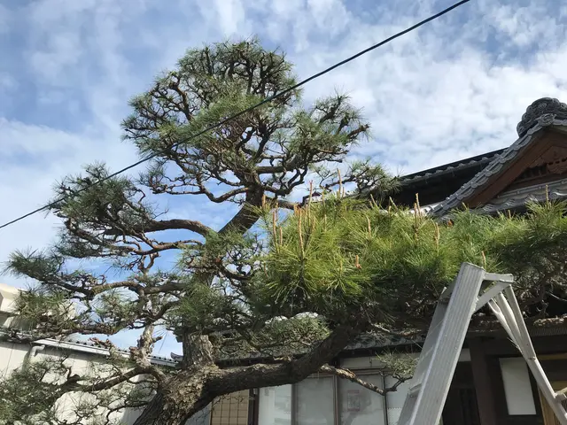 【創業78年】1本ずつ丁寧に愛情込めて自社作業いたします★クレジットカードOK★サービスの画像