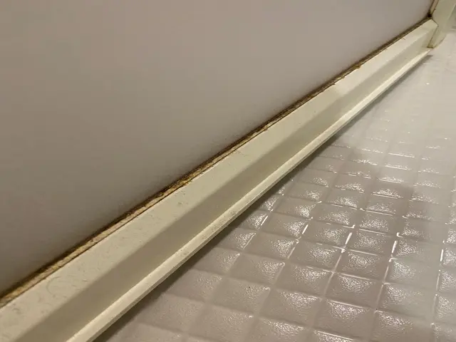 ☆日本ハウスクリーニング協会会員のハウスクリーニング士である私が伺います☆サービスの画像