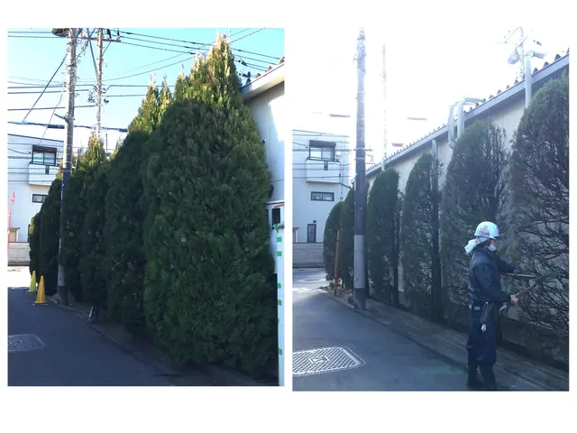 プロの技術でご満足いただけるように心を込めて作業いたしますサービスの画像