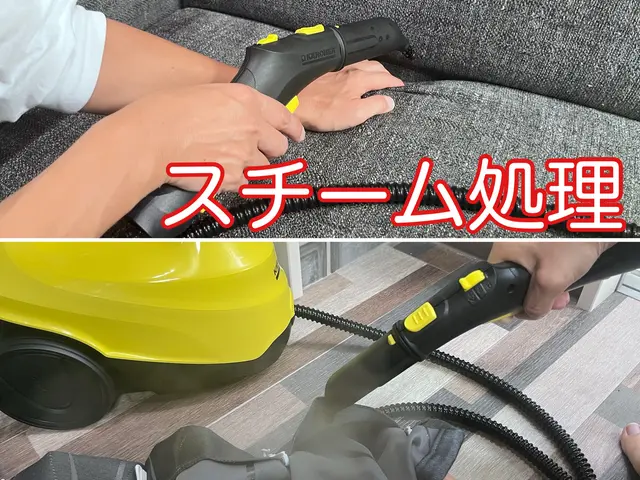 【害虫駆除 金賞受賞】吸引⇒スチーム⇒薬剤で完全駆除♡1年保証〓ぼったくり撲滅〓サービスの画像