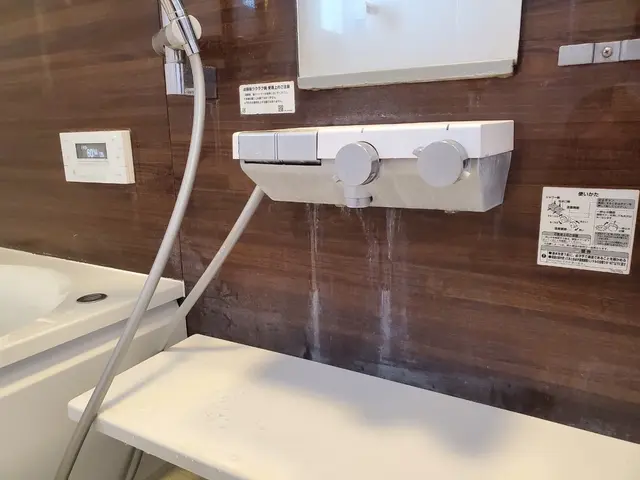 【ARUZI】のバスルームハウスクリーニング！メニュー最安値保証！サービスの画像