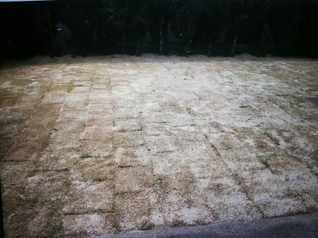 岩倉市発【職人歴35年の実績】作業外注なし全て自社対応！親切丁寧がモットー！サービスの画像