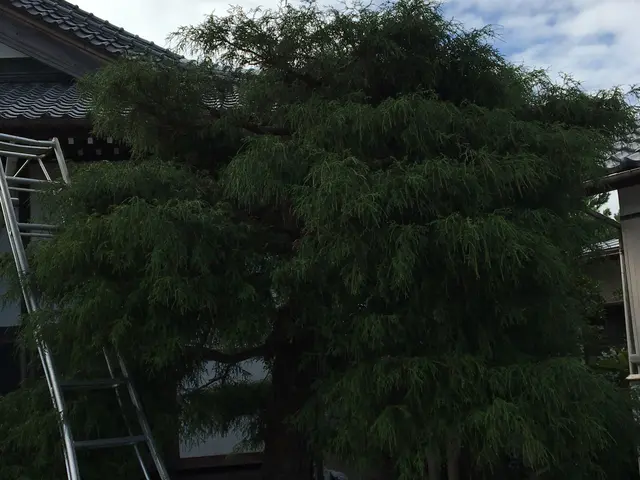 【業界10年以上の経験と実績◎】営業時間外・対応地域外でもご相談下さいサービスの画像