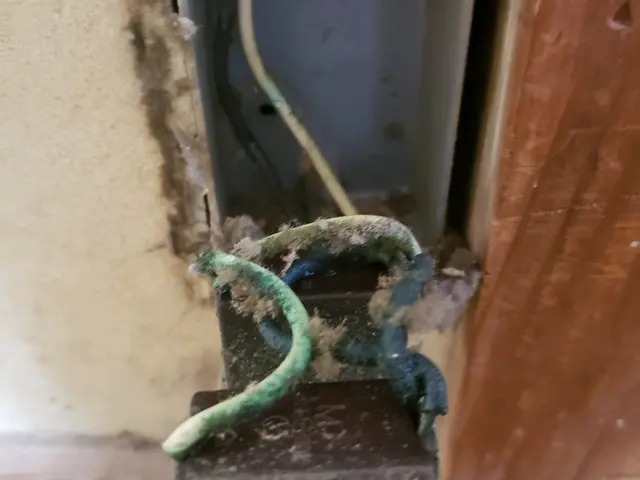 コンセント・スイッチ修理、交換、増設は経験豊富な資格者が直接お伺いします。サービスの画像