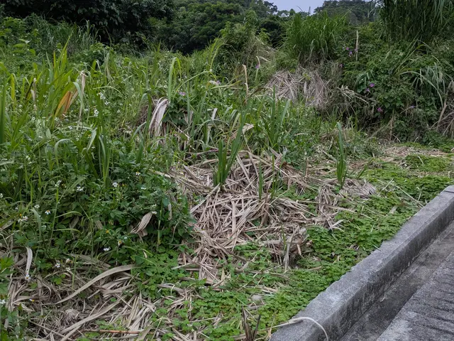 お客様満足度重視！駐車場代完全負担で安心丁寧な真心作業。サービスの画像