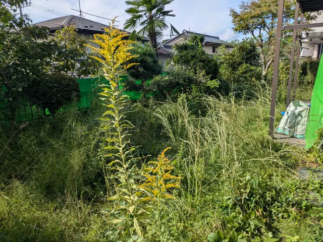 お庭の除草、草刈り。その他の建物内外の除草作業致します。サービスの画像