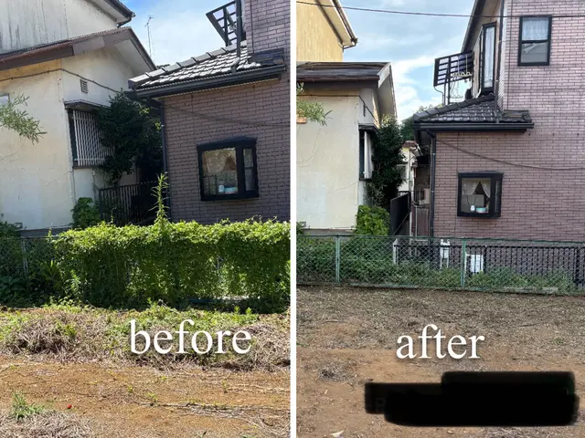 ツタ取りの経験豊富です♪ 平米数に応じて5割以上割引あり！ご相談お見積もり無料！サービスの画像