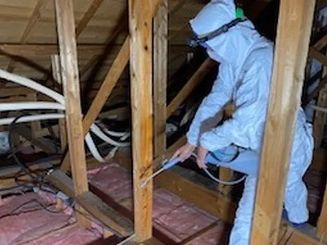 【環境省の認定事業者】☆茨城でナンバー1のコウモリ駆除事業者☆月15件以上対応サービスの画像