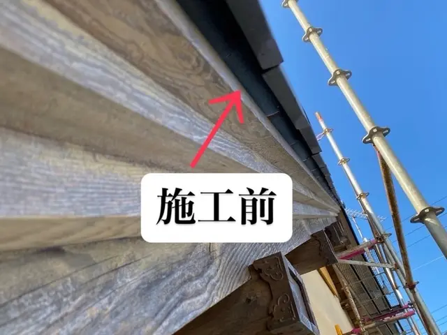 【環境省の認定事業者】☆茨城でナンバー1のコウモリ駆除事業者☆月15件以上対応サービスの画像