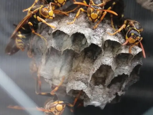 【すべて自社対応】地域密着◇お客様のお力になります！サービスの画像