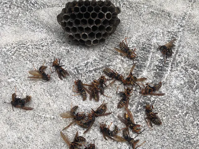 【すべて自社対応】地域密着◇お客様のお力になります！サービスの画像