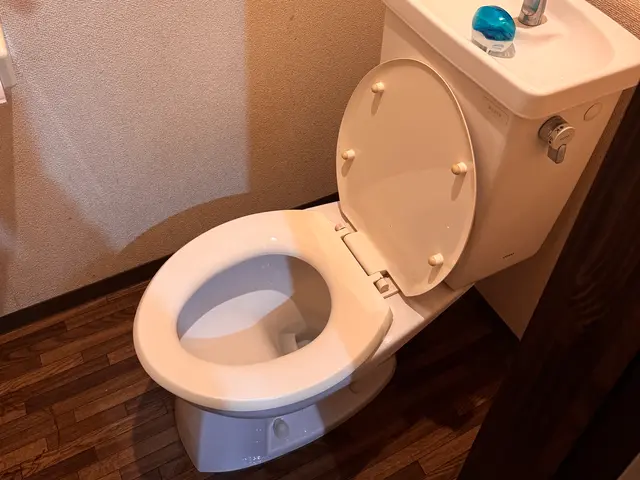 ◎丁寧◎コミュニケーション◎夜間対応可サービスの画像