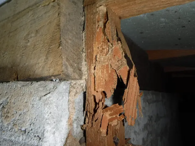 業歴19年の実績！◎定期点検付き安心5年保証！安心と信頼の家屋メンテナンス専門サービスの画像