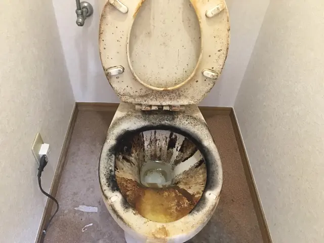 1R.1Kサイズ専門★※リピーター様・一人暮らしの女性は他サイズ対応可能です★サービスの画像