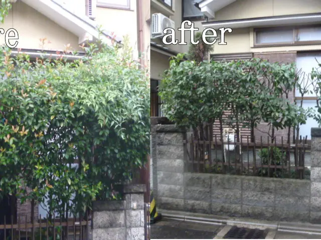 ★迅速丁寧に1本から対応★国家資格取得者あり★キャンペーン中！お写真での見積り可サービスの画像