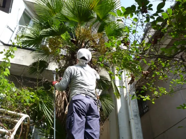 ★迅速丁寧に1本から対応★国家資格取得者あり★キャンペーン中！お写真での見積り可サービスの画像