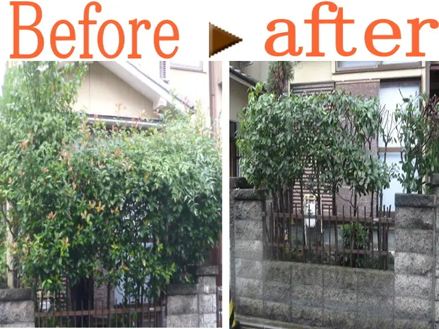 ★迅速丁寧に1本から対応★国家資格取得者あり★キャンペーン中！お写真での見積り可サービスの画像