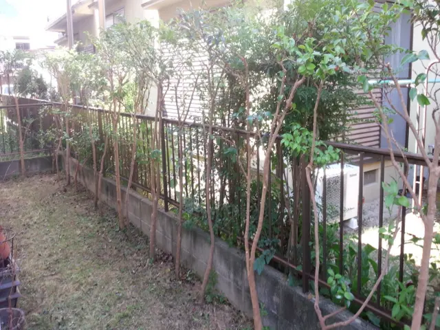 ★迅速丁寧に1本から対応★国家資格取得者あり★キャンペーン中！お写真での見積り可サービスの画像