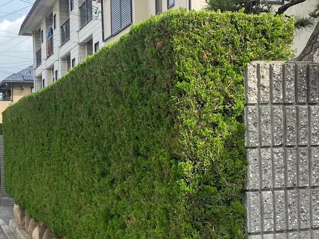 ◆創業100年超の3代目店長が対応◎迅速・丁寧な対応の専門店です！サービスの画像