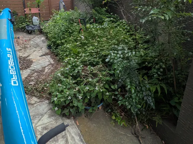 プロの技術でご満足いただけるように心を込めて作業いたしますサービスの画像