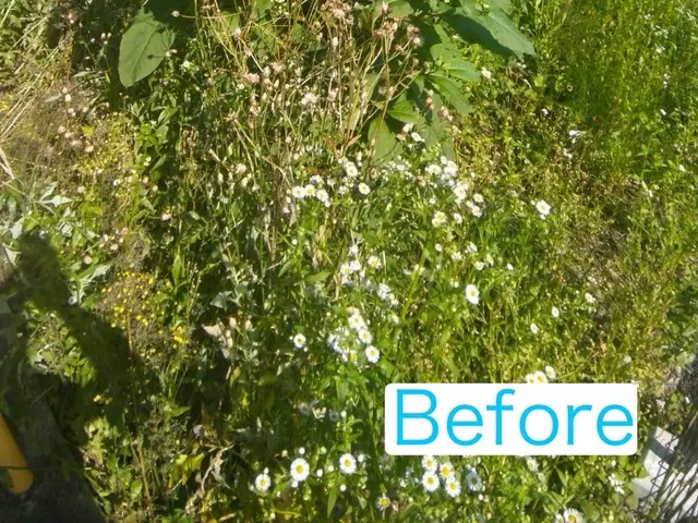 プロの技術でご満足いただけるように心を込めて作業いたしますサービスの画像