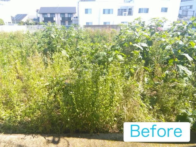 プロの技術でご満足いただけるように心を込めて作業いたしますサービスの画像