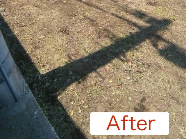 プロの技術でご満足いただけるように心を込めて作業いたしますサービスの画像