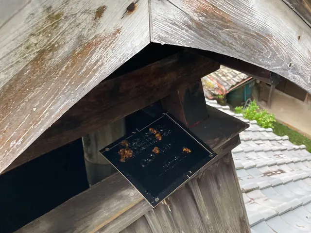 業界歴15年以上！ハチ駆除は当店にお任せ下さい。サービスの画像