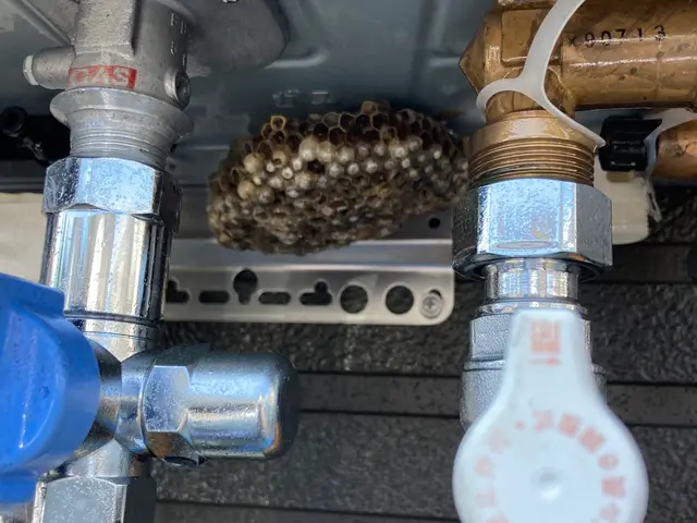 業界歴15年以上！ハチ駆除は当店にお任せ下さい。サービスの画像