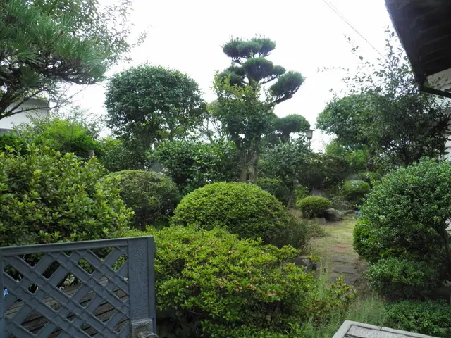 【業界一筋！！】お庭がきれいだと気持ちも明るくなりませんか？サービスの画像