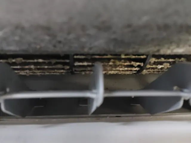 お子様やペットがいてもご安心下さいませ。お問い合わせも大歓迎です。サービスの画像