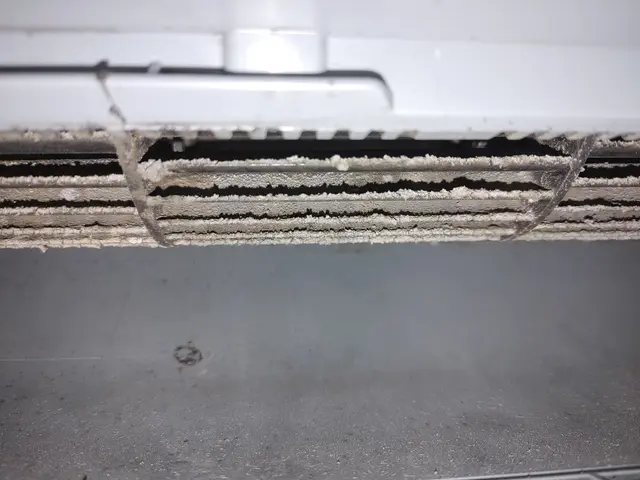 お子様やペットがいてもご安心下さいませ。お問い合わせも大歓迎です。サービスの画像