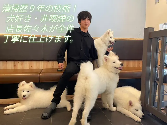 【格安セット】新生活応援！キッチン・換気扇まるごと洗浄◆プロの技で輝き復活◆サービスの画像