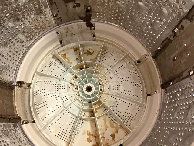 【縦型洗濯機】分解洗浄・カビ徹底クリーニングサービスの画像