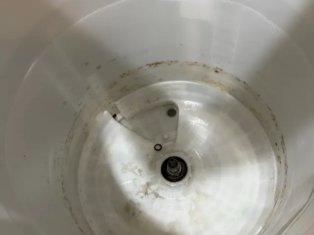 【縦型洗濯機】分解洗浄・カビ徹底クリーニングサービスの画像