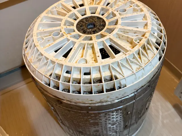 【縦型洗濯機】分解洗浄・カビ徹底クリーニングサービスの画像