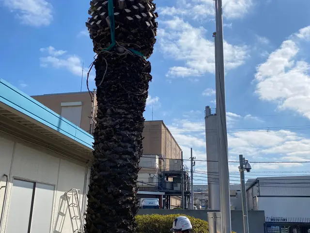 ◆職人歴15年◆一級造園施工管理者技能経験あり◆駐車代お店負担◆親切丁寧！サービスの画像