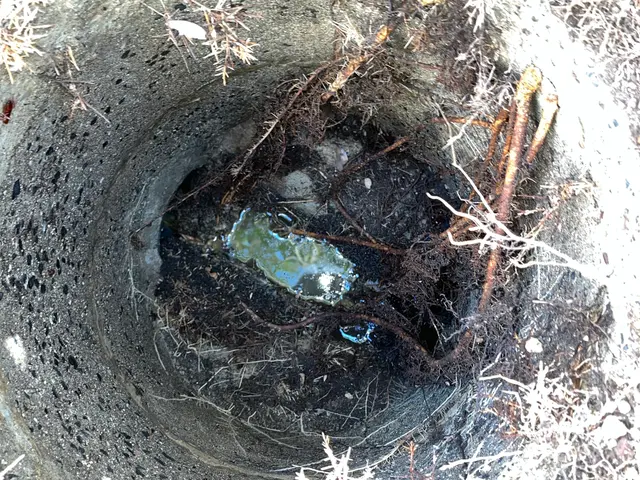 業歴25年以上の店長が直接対応！女性スタッフ同行可能で安心の排水管メンテナンスサービスの画像