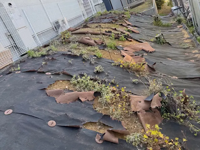 【地域密着店】スタッフ一同、心を込めて誠心誠意対応いたします！サービスの画像