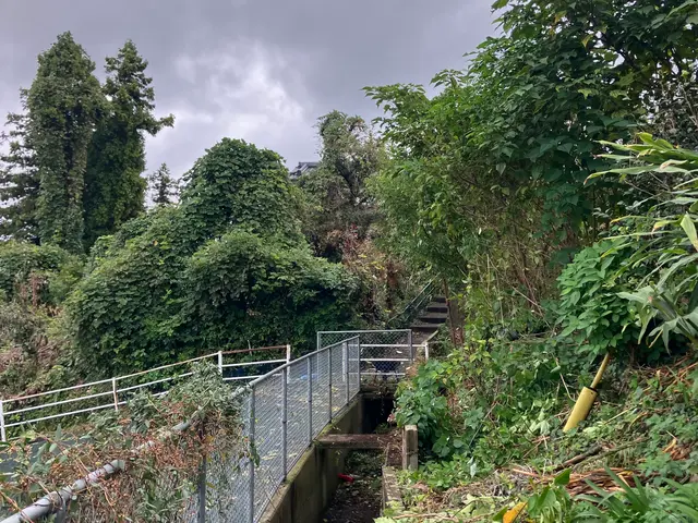 側溝掃除隊！サービスの画像